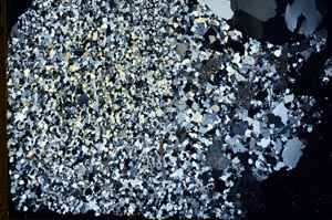 Cross Polarized, S49630