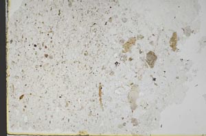 Plane Polarized, S49630