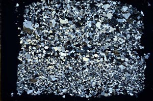 Cross Polarized, S49631