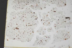 Plane Polarized, S49632