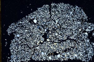 Cross Polarized, S49633