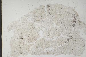 Plane Polarized, S49633