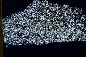 Cross Polarized, S49634