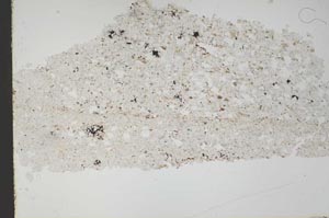 Plane Polarized, S49634