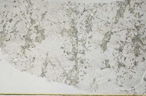 Plane Polarized, S49649