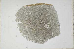 Plane Polarized, S49653