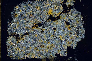 Cross Polarized, S49654