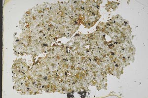 Plane Polarized, S49654