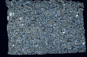 Cross Polarized, S49655