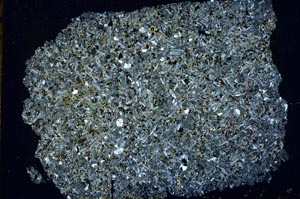 Cross Polarized, S49656