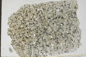 Plane Polarized, S49656