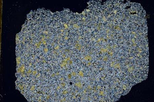 Cross Polarized, S49657