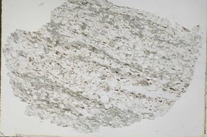 Plane Polarized, S49664