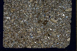 Cross Polarized, S49665