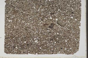 Plane Polarized, S49665