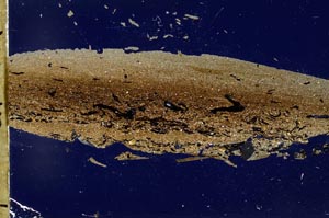 Cross Polarized, S49667