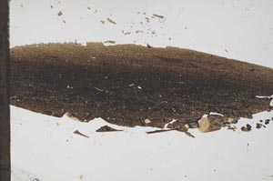 Plane Polarized, S49667