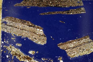 Cross Polarized, S49669