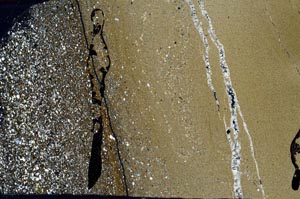 Cross Polarized, S49670