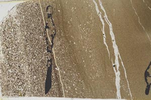 Plane Polarized, S49670