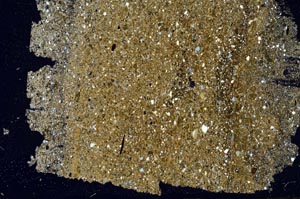 Cross Polarized, S49671