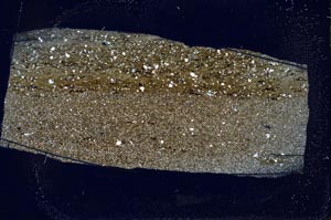 Cross Polarized, S49672