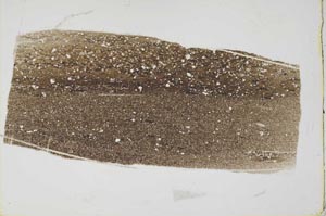 Plane Polarized, S49672