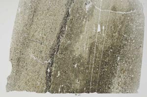 Plane Polarized, S49675