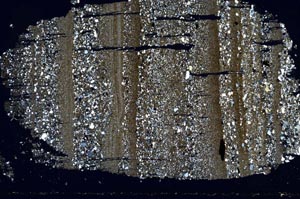 Cross Polarized, S49677