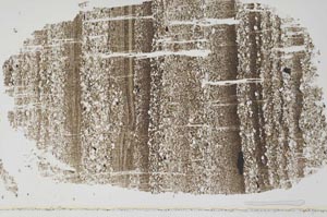 Plane Polarized, S49677