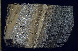 Cross Polarized, S49677/B