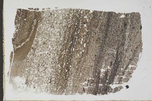 Plane Polarized, S49677/B