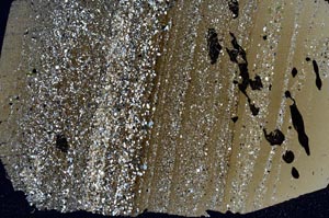 Cross Polarized, S49678