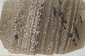 Plane Polarized, S49678