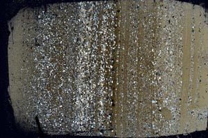 Cross Polarized, S49678/A