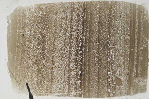 Plane Polarized, S49678/A