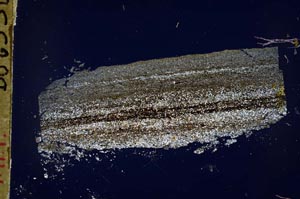 Cross Polarized, S49679