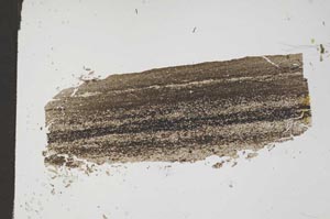 Plane Polarized, S49679