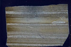 Cross Polarized, S49681