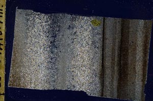 Cross Polarized, S49682