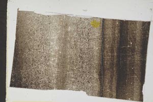 Plane Polarized, S49682