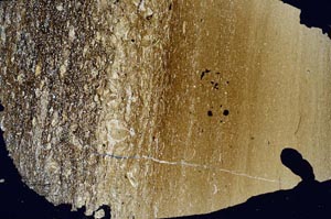 Cross Polarized, S49683