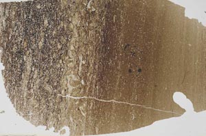 Plane Polarized, S49683