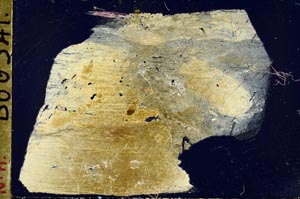 Cross Polarized, S49684