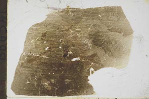 Plane Polarized, S49684