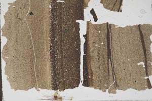 Plane Polarized, S49687