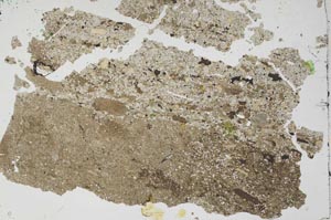 Plane Polarized, S49688