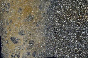 Cross Polarized, S49689