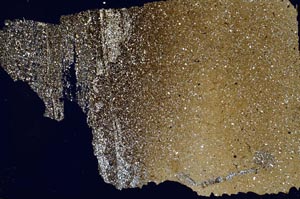 Cross Polarized, S49690