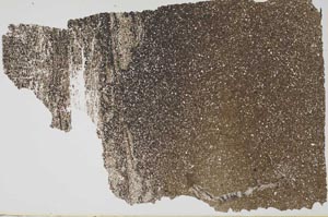 Plane Polarized, S49690